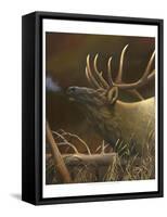 Elk Portrait I-Leo Stans-Framed Stretched Canvas