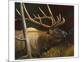 Elk Portrait II-Leo Stans-Mounted Art Print