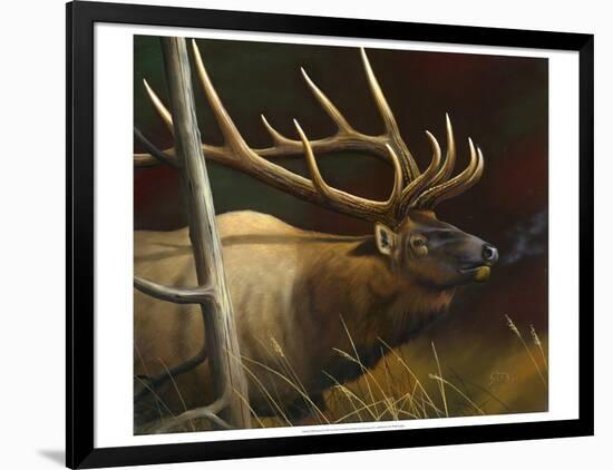 Elk Portrait II-Leo Stans-Framed Art Print