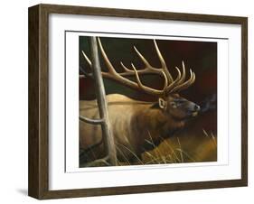 Elk Portrait II-Leo Stans-Framed Art Print