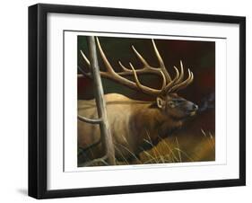 Elk Portrait II-Leo Stans-Framed Art Print