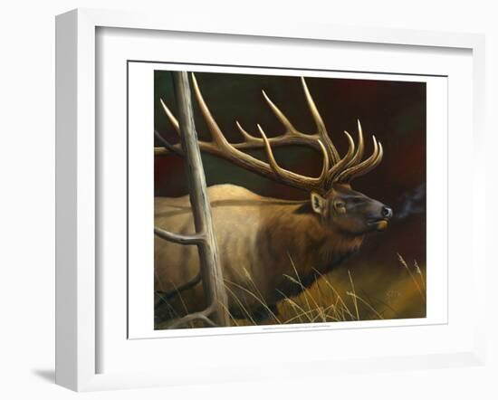 Elk Portrait II-Leo Stans-Framed Art Print