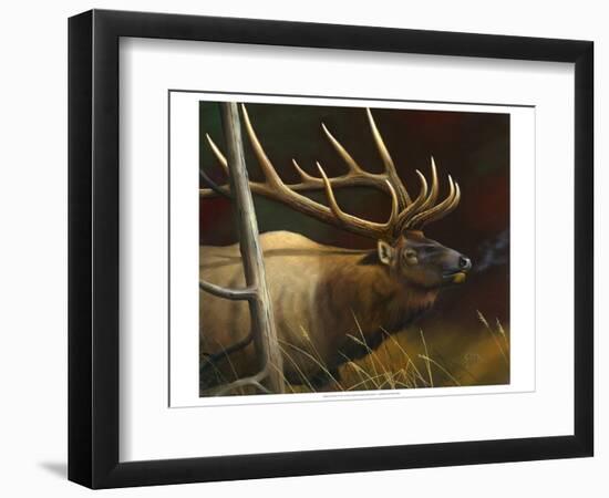 Elk Portrait II-Leo Stans-Framed Art Print