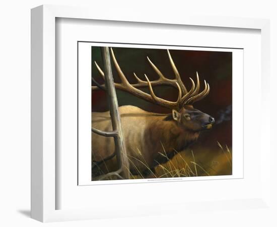 Elk Portrait II-Leo Stans-Framed Art Print