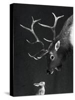 Elk&Rabbit-Laura Graves-Stretched Canvas