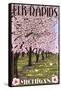 Elk Rapids, Michigan - Cherry Blossoms-Lantern Press-Framed Stretched Canvas