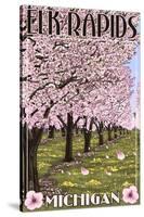 Elk Rapids, Michigan - Cherry Blossoms-Lantern Press-Stretched Canvas