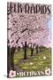 Elk Rapids, Michigan - Cherry Blossoms-Lantern Press-Stretched Canvas