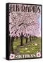 Elk Rapids, Michigan - Cherry Blossoms-Lantern Press-Framed Stretched Canvas