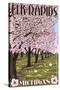 Elk Rapids, Michigan - Cherry Blossoms-Lantern Press-Stretched Canvas