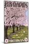 Elk Rapids, Michigan - Cherry Blossoms-Lantern Press-Mounted Art Print