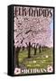 Elk Rapids, Michigan - Cherry Blossoms-Lantern Press-Framed Stretched Canvas