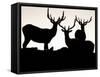 Elk, Rocky Mountains National Park, Colorado, USA-Gavriel Jecan-Framed Stretched Canvas