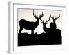 Elk, Rocky Mountains National Park, Colorado, USA-Gavriel Jecan-Framed Photographic Print