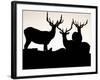 Elk, Rocky Mountains National Park, Colorado, USA-Gavriel Jecan-Framed Photographic Print