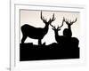 Elk, Rocky Mountains National Park, Colorado, USA-Gavriel Jecan-Framed Photographic Print