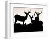 Elk, Rocky Mountains National Park, Colorado, USA-Gavriel Jecan-Framed Photographic Print