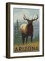 Elk Scene - Arizona-Lantern Press-Framed Art Print