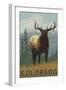 Elk Scene - Colorado-Lantern Press-Framed Art Print