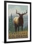 Elk Scene - Grand Lake, Colorado-Lantern Press-Framed Art Print