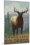 Elk Scene - Grand Lake, Colorado-Lantern Press-Mounted Art Print