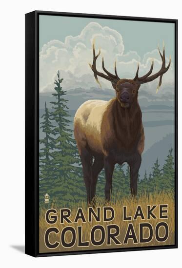 Elk Scene - Grand Lake, Colorado-Lantern Press-Framed Stretched Canvas