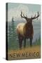Elk Scene - New Mexico-Lantern Press-Stretched Canvas