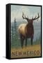 Elk Scene - New Mexico-Lantern Press-Framed Stretched Canvas