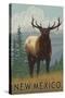 Elk Scene - New Mexico-Lantern Press-Stretched Canvas