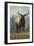 Elk Scene - Oregon, c.2009-Lantern Press-Framed Art Print