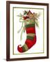 Elk Stocking-Beverly Johnston-Framed Giclee Print