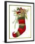 Elk Stocking-Beverly Johnston-Framed Giclee Print