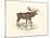 Elk Study-19th Century English School-Mounted Giclee Print