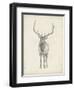 Elk Study-Ethan Harper-Framed Art Print