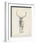 Elk Study-Ethan Harper-Framed Art Print