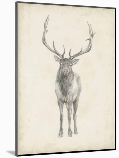 Elk Study-Ethan Harper-Mounted Art Print