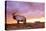 Elk Sunrise in Canyonland-Gordon Semmens-Stretched Canvas