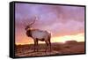 Elk Sunrise in Canyonland-Gordon Semmens-Framed Stretched Canvas