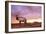 Elk Sunrise in Canyonland-Gordon Semmens-Framed Photographic Print