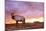 Elk Sunrise in Canyonland-Gordon Semmens-Mounted Photographic Print