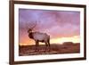 Elk Sunrise in Canyonland-Gordon Semmens-Framed Photographic Print