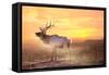 Elk Sunrise in the Badlands-Gordon Semmens-Framed Stretched Canvas