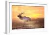 Elk Sunrise in the Badlands-Gordon Semmens-Framed Photographic Print