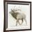 Elk v.2-James Wiens-Framed Art Print