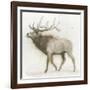 Elk v.2-James Wiens-Framed Art Print