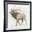 Elk v.2-James Wiens-Framed Art Print