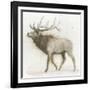 Elk v.2-James Wiens-Framed Art Print