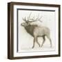 Elk v.2-James Wiens-Framed Art Print