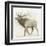 Elk v.2-James Wiens-Framed Art Print