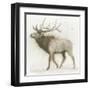 Elk v.2-James Wiens-Framed Art Print